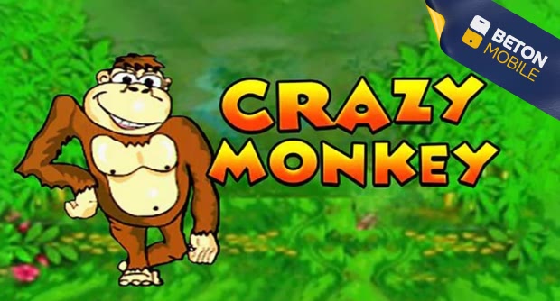 https://mehagrad.ru/wp-content/uploads/2024/07/crazy-monkey-1.jpg